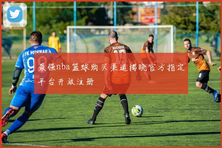 最强nba篮球购买渠道揭晓官方指定平台开放注册