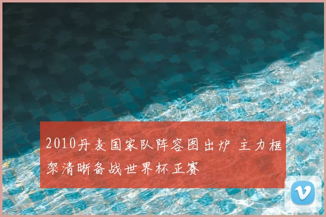 2010丹麦国家队阵容图出炉 主力框架清晰备战世界杯正赛