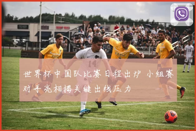 世界杯中国队比赛日程出炉 小组赛对手亮相揭关键出线压力