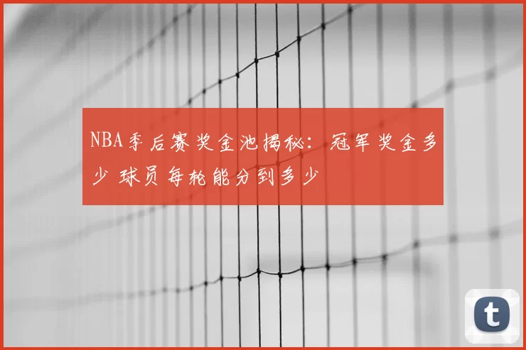 NBA季后赛奖金池揭秘:冠军奖金多少 球员每轮能分到多少