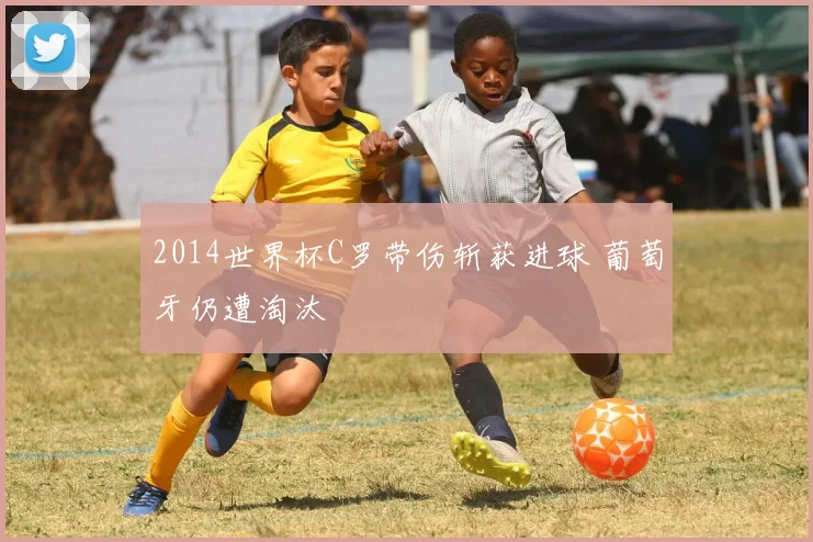 2014世界杯C罗带伤斩获进球 葡萄牙仍遭淘汰